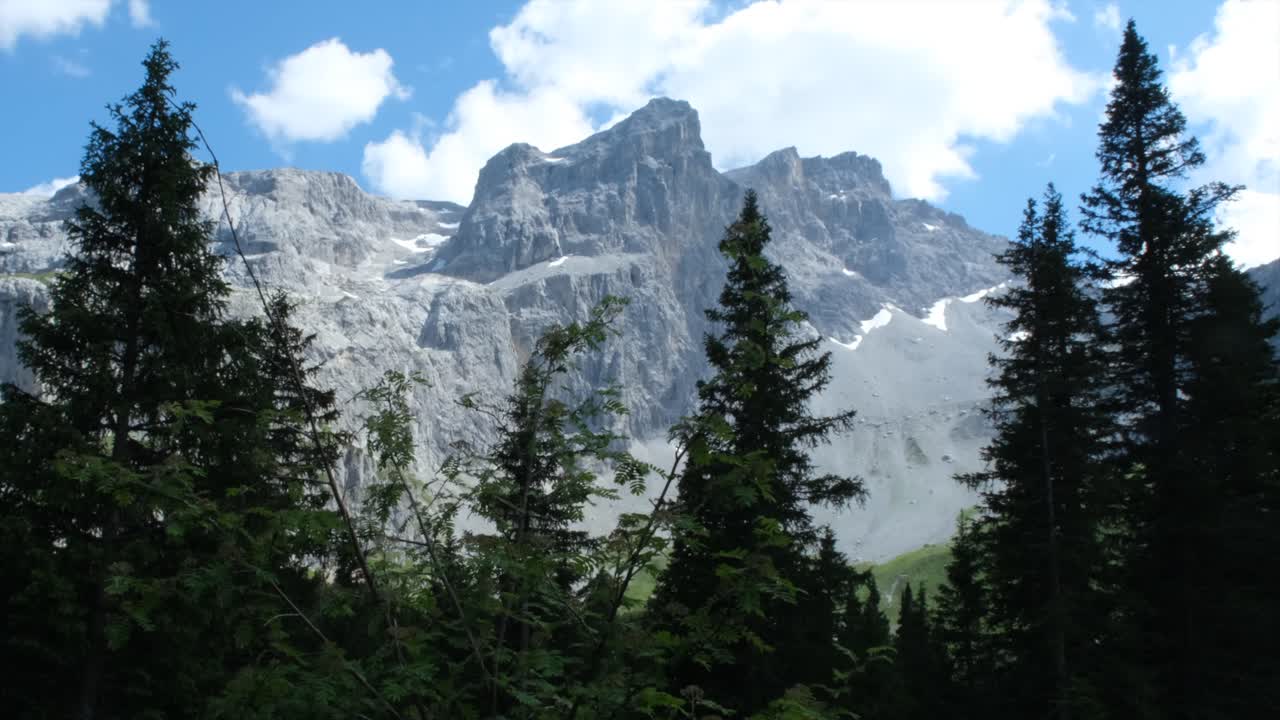 Towering rocky mountains framed by dense pine trees under a clear blue sky, showcasing the contrast between lush alpine forest and rugged high-altitude cliffs.