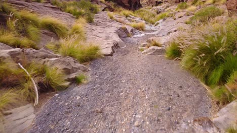 dry river bed with rocks and grass in tenerife, aerial drone view