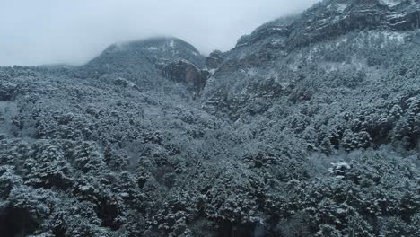 snowy mountain forest landscape