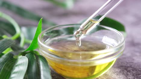 gotero de aceite esencial y cuenco con hojas verdes