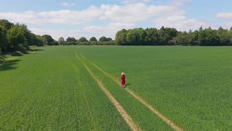 a vintage-style footage of a woman strolling along old wagon paths winding through the peaceful, green countryside of england, evoking nostalgic rural charm and timeless beauty