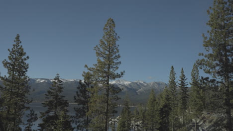 douglas fir trees in front of lake tahoe with mountains beyond all drift by the driver side window on a beautiful day