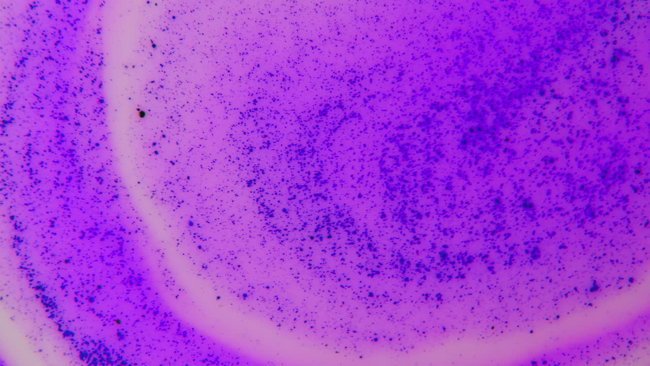 Purple Abstract Swirl Texture