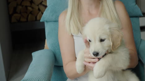 a woman is playing with a cute golden retriever puppy, the puppy is biting her fingers