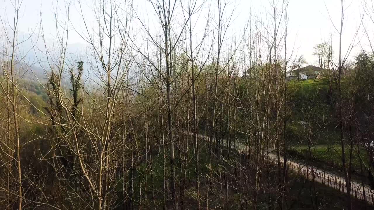 여름 봄 시즌에 숲 도로 교차로 깨 ⁇ 한 하늘 신선한 날씨 비행 드론 사우디 아라비아 에미레이트 시골 지역의 교통 개념에 대한 넓은 시야를  ⁇  카프카스 풍경 여행 가이드