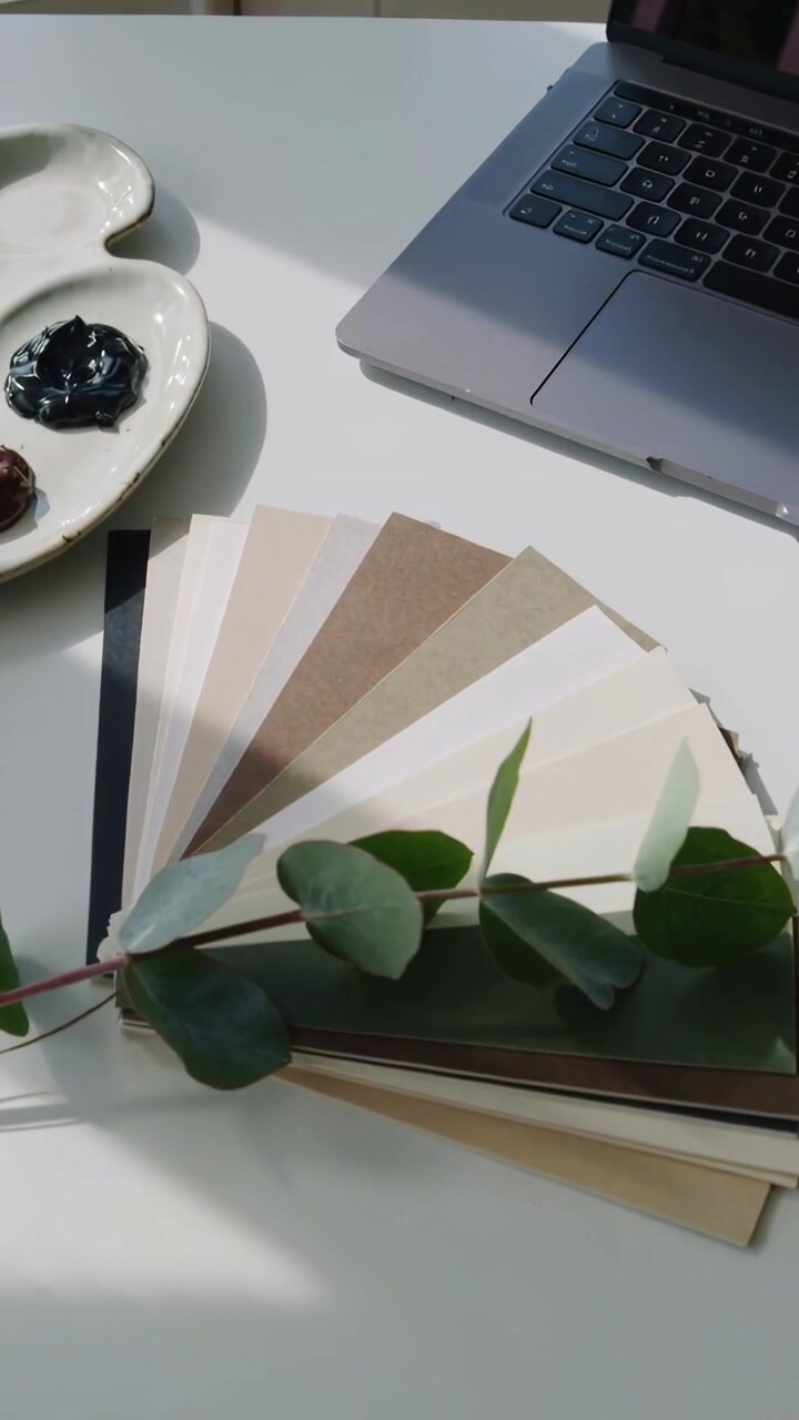 Vertical video: Sun nudging eucalyptus sprig across neutral swatches on white desk palette laptop