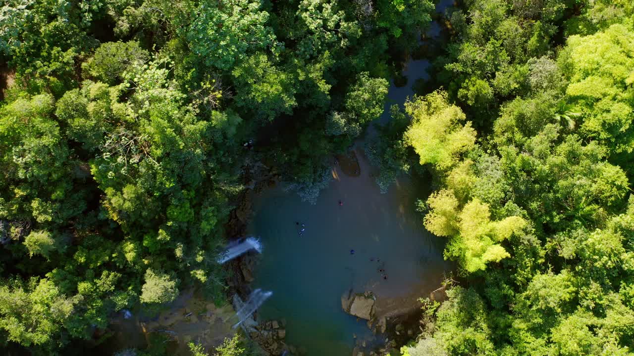 Cascada que se precipita en una piscina de agua dulce en medio de la selva