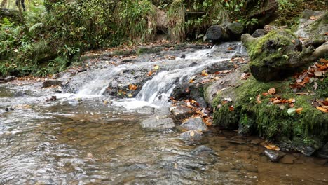 Kaskadierendes-Flusswasser,-Das-In-Einen-üppigen-Herbstwald-Fließt,-Bach-Dolly-Links