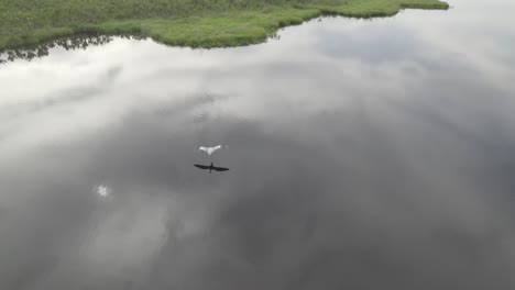 bird flying over laguna negra in colombia on a cloudy day - aerial drone shot