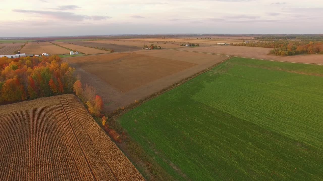 Aerial view of wide farmland with planted fields, newly plowed plots and tall tress with colorful leaves of Fall