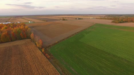 Luftaufnahme-Eines-Weiten-Ackerlandes-Mit-Bepflanzten-Feldern,-Neu-Gepflügten-Parzellen-Und-Hohen-Bäumen-Mit-Bunten-Herbstblättern