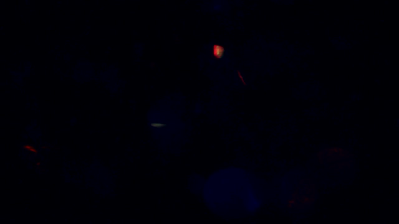 elemento de fugas de luz