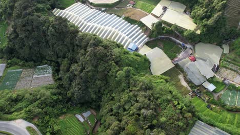 general landscape view of the brinchang district within the cameron highlands area of malaysia