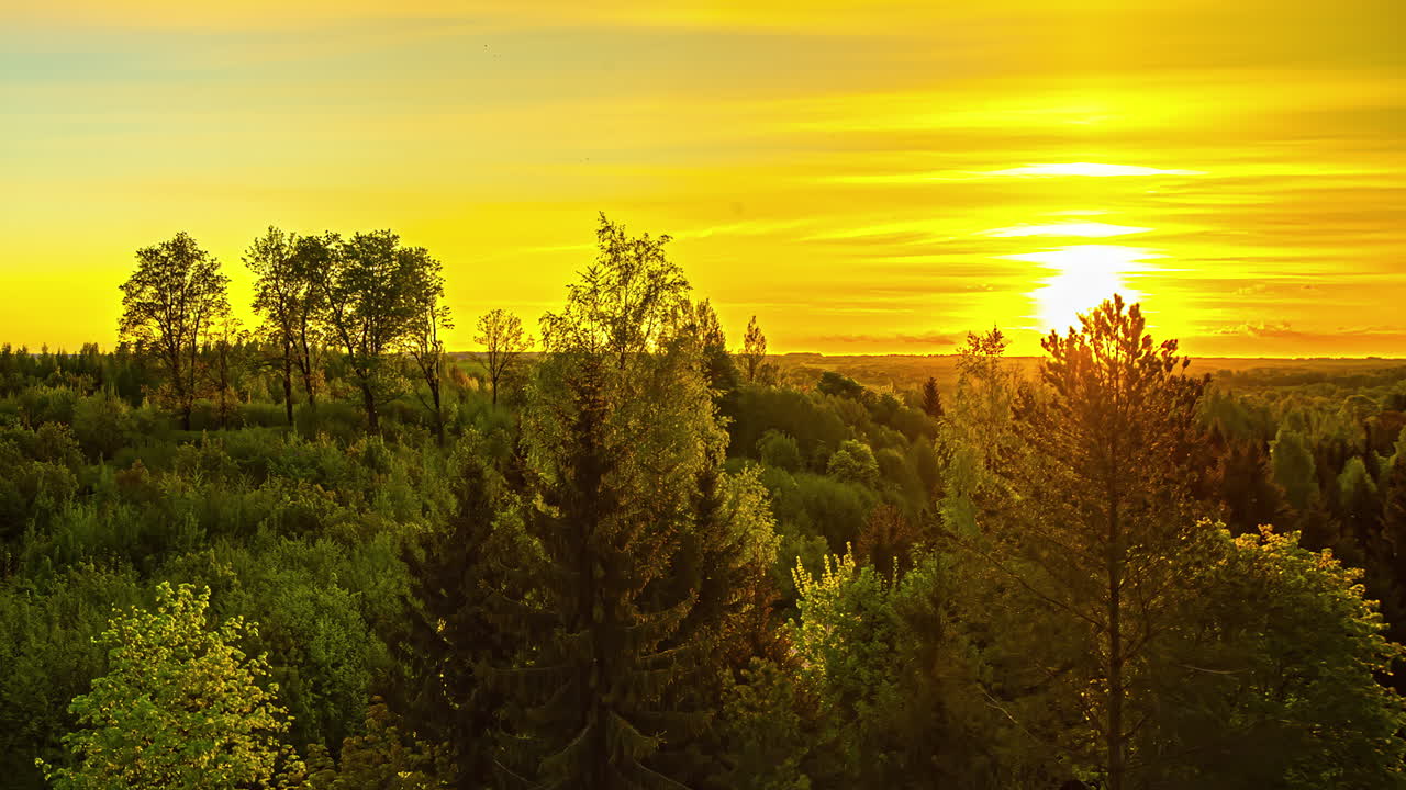 아침에 광야의 풍경과 숲의 수평선 조명에서 황금빛 일출, 시간 경과