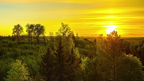 golden sunrise at horizon lighting on scenery and forest in wilderness in the morning,time lapse