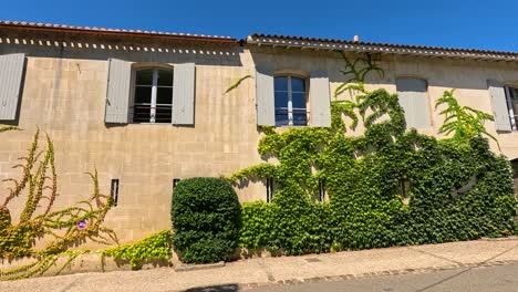 a picturesque house with lush green vines