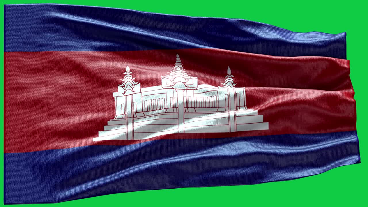 보디아의 4k 매우 상세한 발 - 보디어 발 높은 상세 - 국가 발 보시아 파동 패턴 루프 가능한 요소