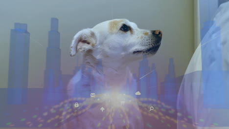 sitting white dog with futuristic cityscape animation overlay in background