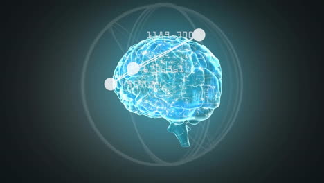 animación de números cambiando sobre el giro del cerebro humano