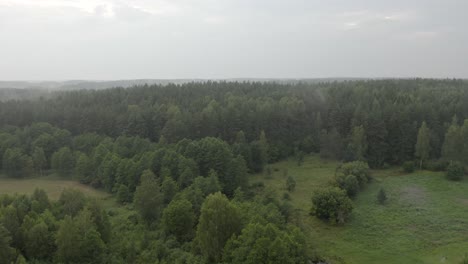 Vuelo-De-Drones-Sobre-Un-Bosque-En-Lituania