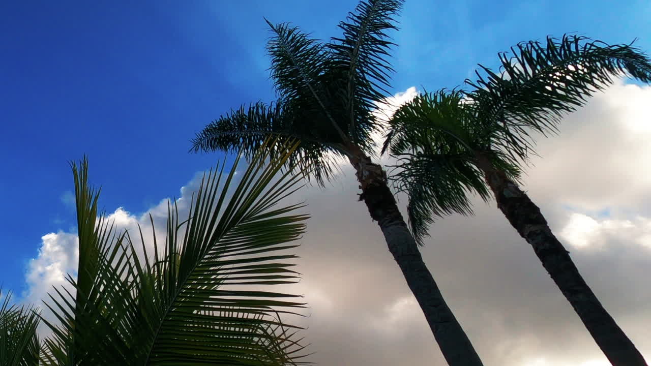 맑고 푸른 하늘에서 구름이 형성되고 사라지는 것을 올려다보고 관찰 - 시간 경과