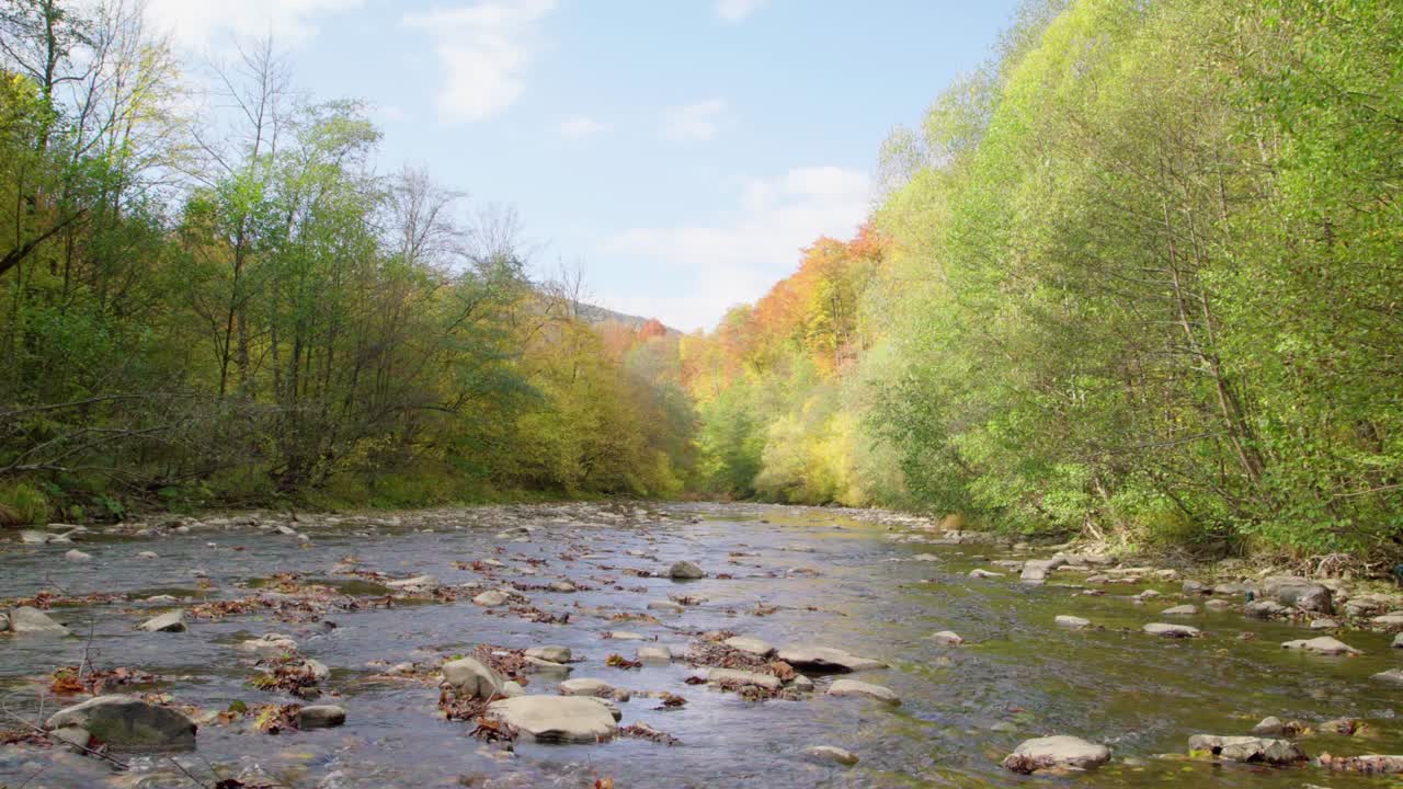 il fiume scorre vicino alla foresta d'autunno.