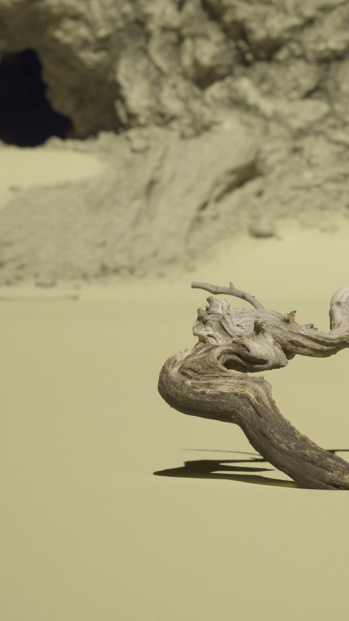 Wooden branch rests on sand near cave entrance at a remote location