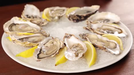 oysters with lemon on a platter