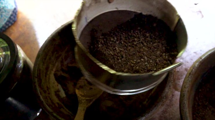 bali coffee plantation
