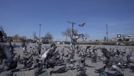 la plaza eminonu de estambul en el toque de queda por la pandemia de covid-19.