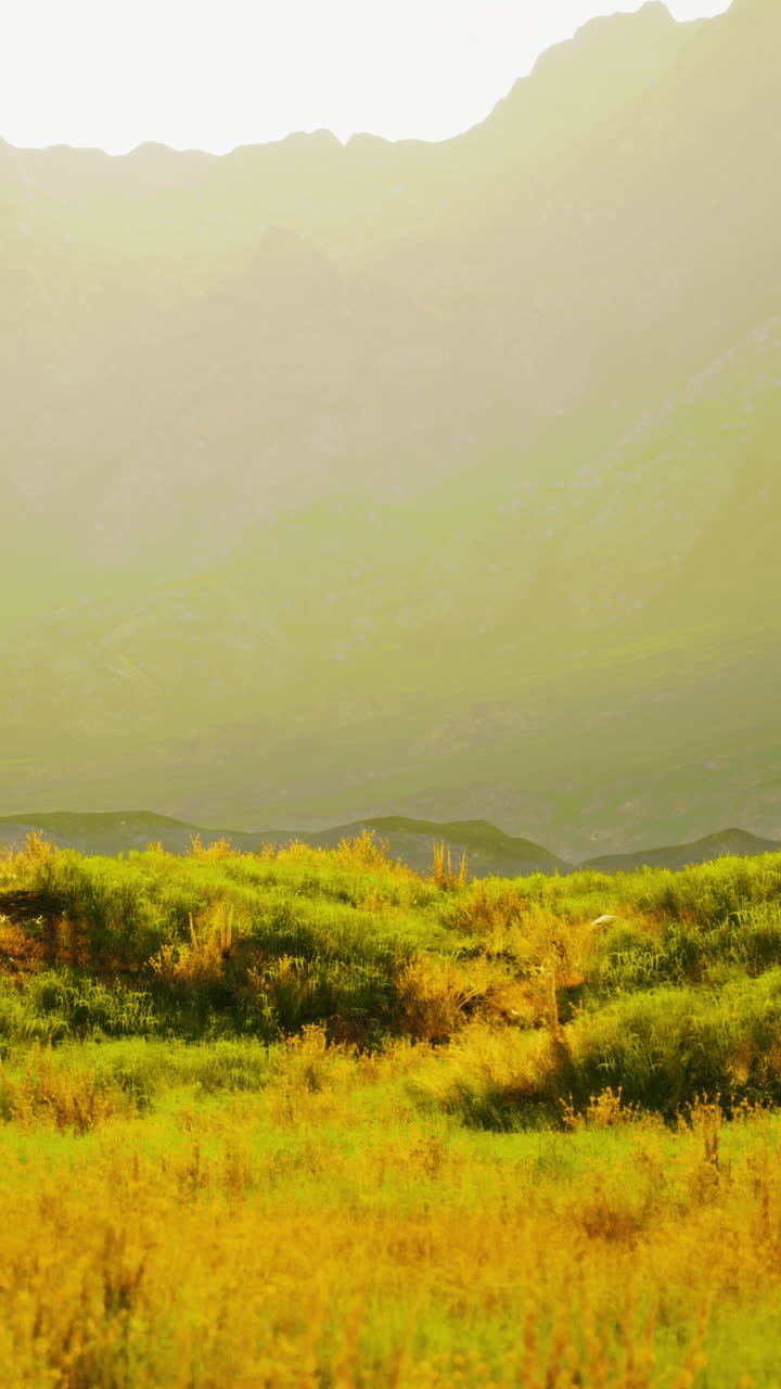 산과 잔디와 함께 황금 시간 풍경