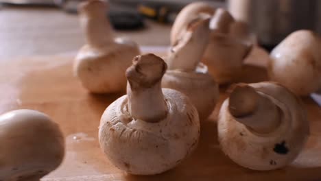 group-of-white-mushrooms--mushrooms-falling-from-above--steady-cam