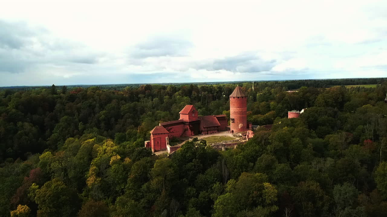Drone in movimento nel profondo della foresta accanto a un vecchio castello