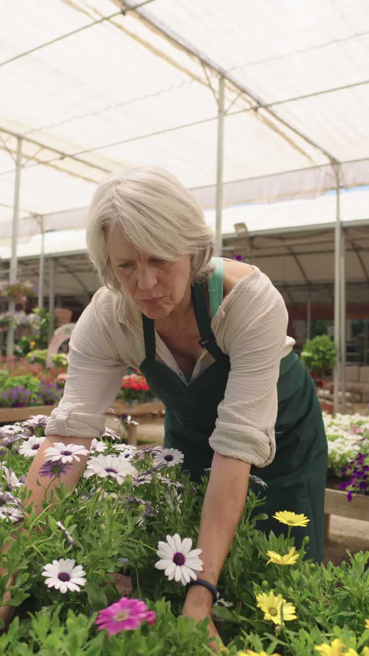 Woman gardening in greenhouse