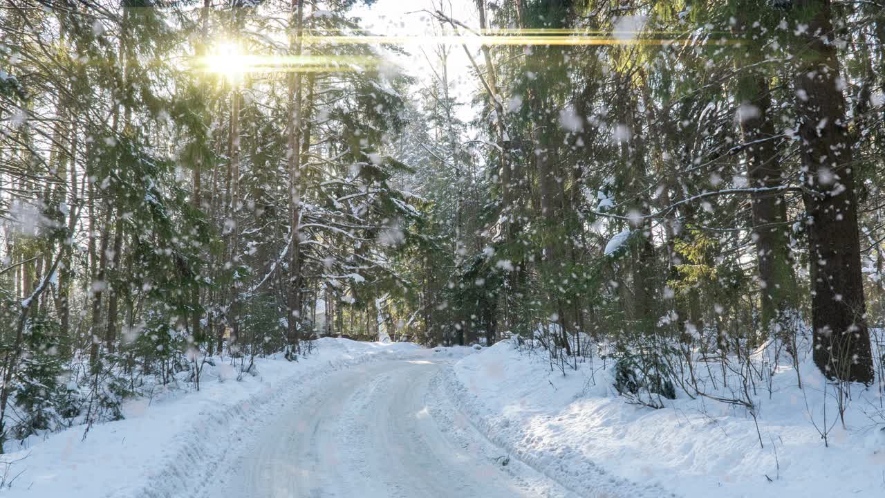 눈 인 숲. 눈 은 겨울 숲에서 위에서 아래로 볼 수 있는 풍경, 자연 풍경, 얼어붙은 숲, 겨울의 숲에서 이 나는 풍경