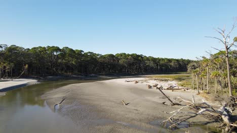 Fluss-Fließt-Durch-Ein-Sandiges-Ufer,-Umgeben-Von-Einem-Dschungelähnlichen-Wald-In-South-Carolina