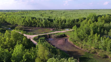 aerial view of forest landscape with rural irrigation pump and dirt roads crossing