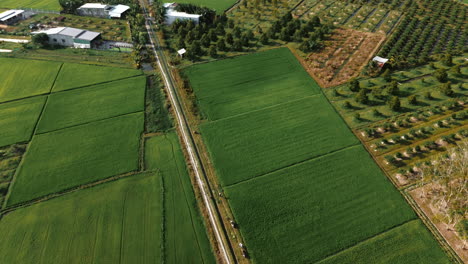 aerial view of agricultural fields and plantations