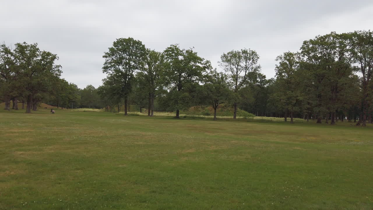 Borre mound cemetery are ancient Burial Mounds from the Viking period