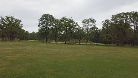 Borre-mound-cemetery-are-ancient-Burial-Mounds-from-the-Viking-period