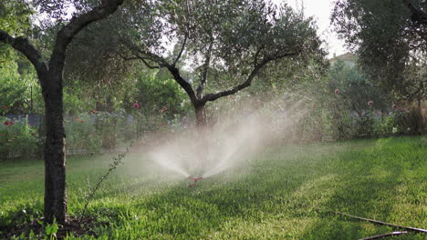 A lawn sprinkler watering a green lawn in a garden