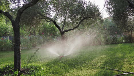 a lawn sprinkler watering a green lawn in a garden