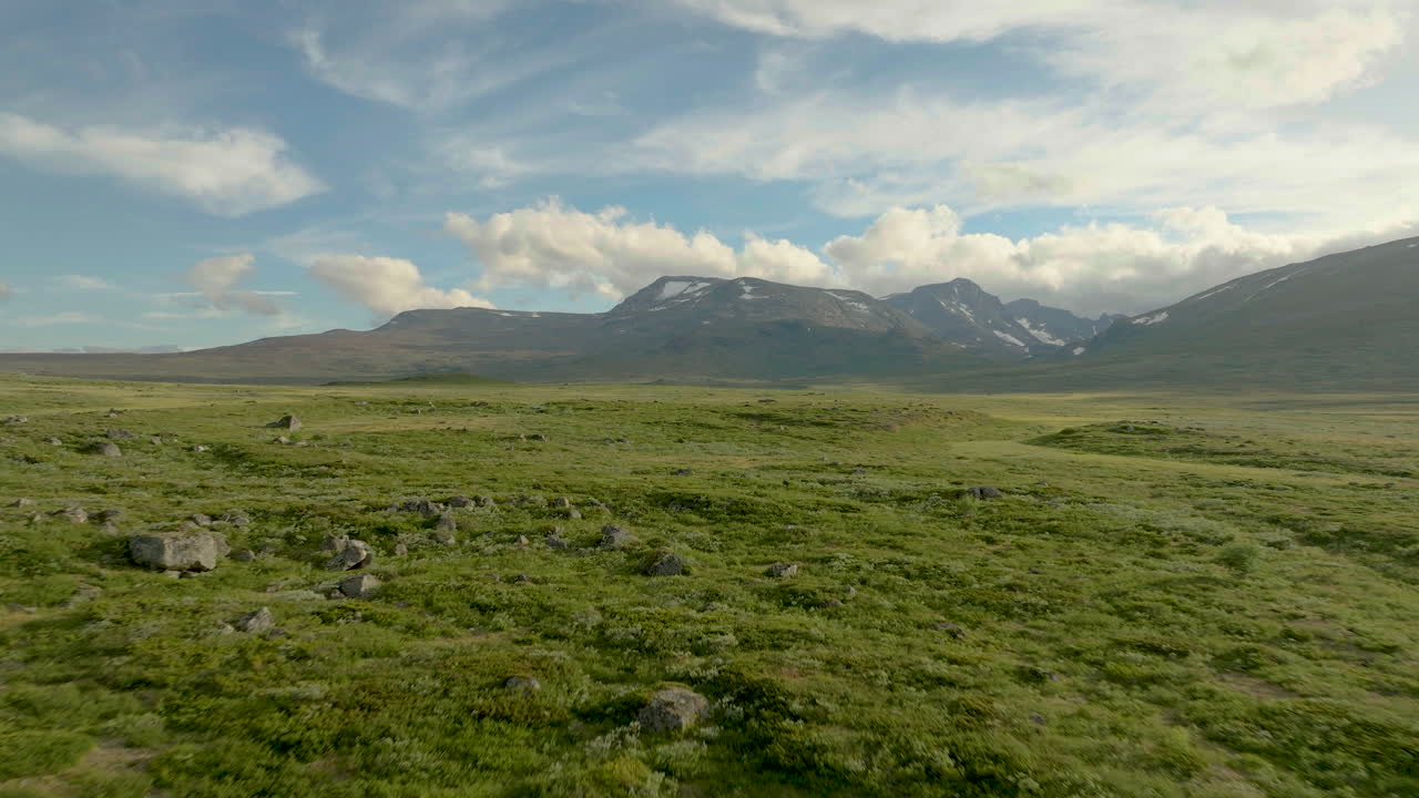 Brughiere sempreverdi con la Valle di Jotunheim nella Norvegia orientale