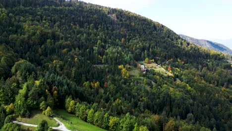 slovenia mountain forest european alps during green summer, aerial drone flight