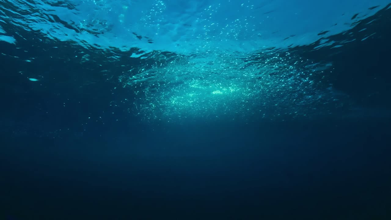 hermosa escena submarina