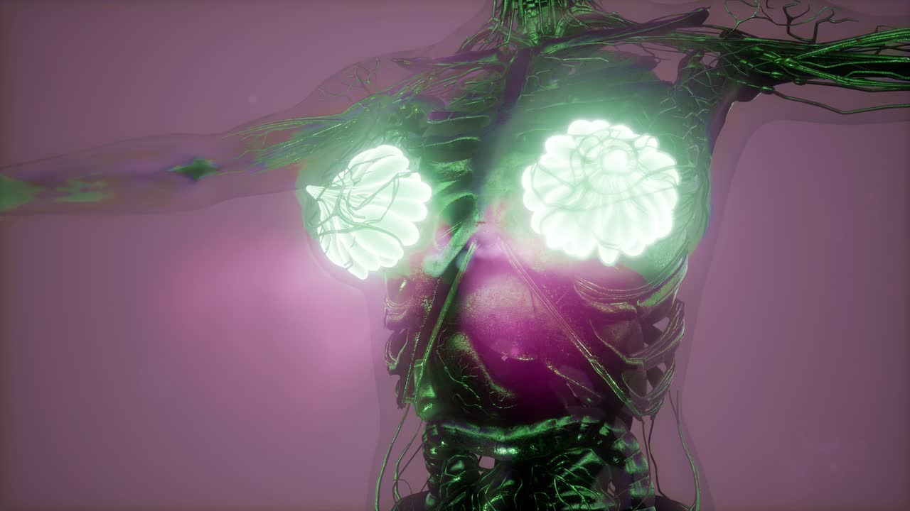 человеческое тело с видимым свечением молочной железы