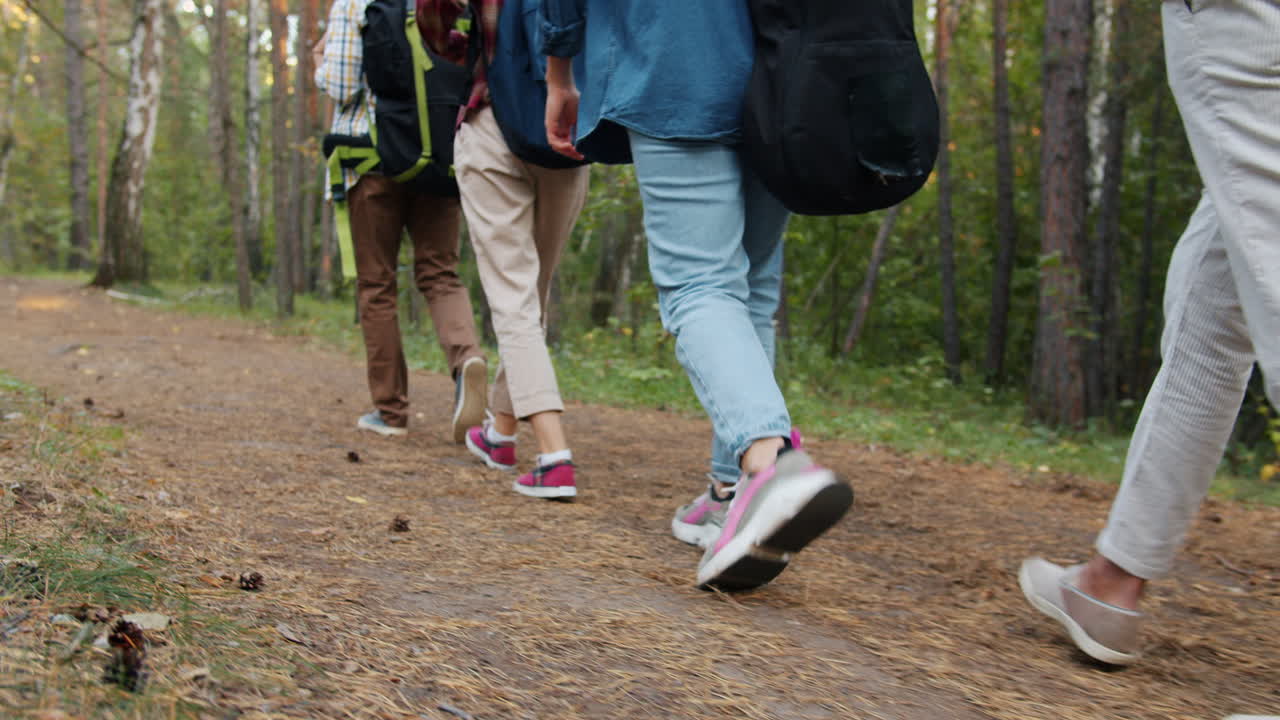 excursionistas en un sendero forestal