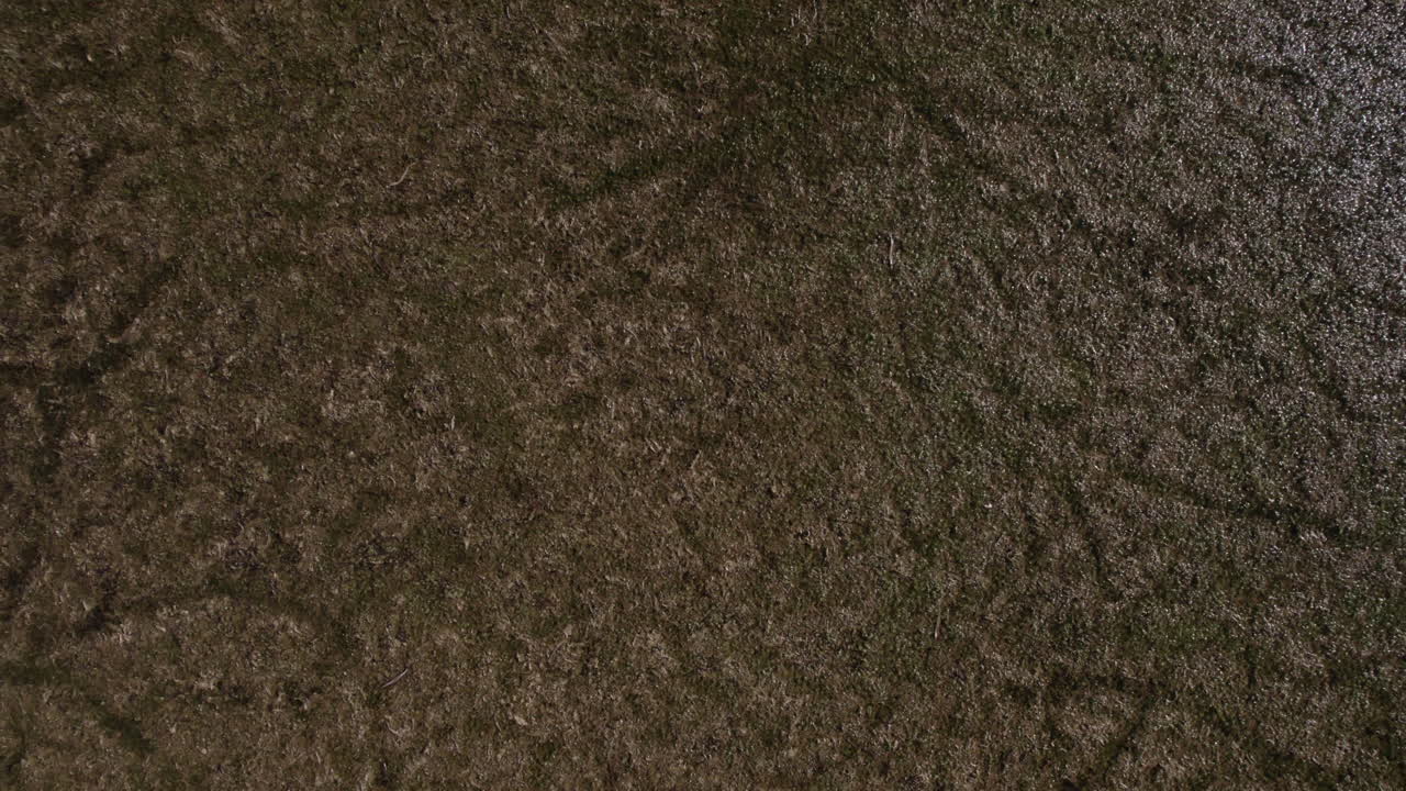 una vista aérea desde abajo hacia arriba muestra un pantano con una amplia variedad de plantas acuáticas secas durante el otoño en noviembre