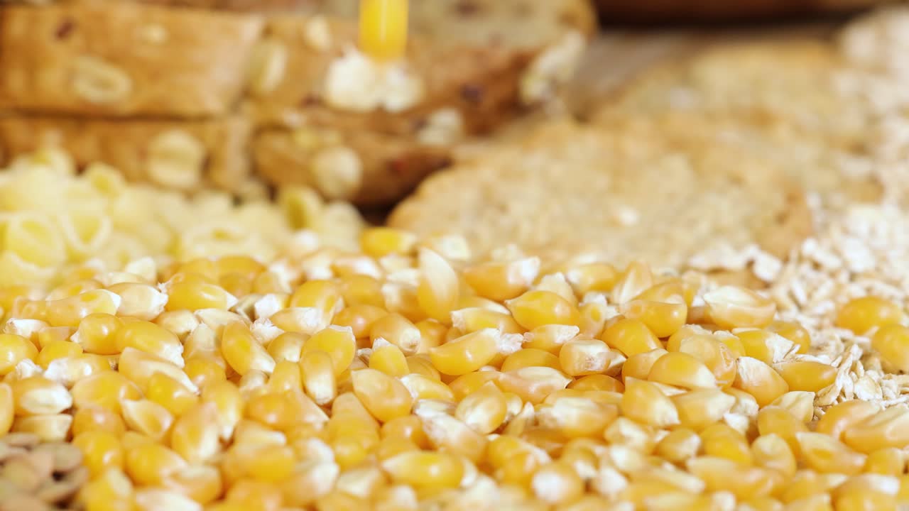 A detailed view of raw corn kernels, pasta, and bread in a warm, well-lit environment. Static composition highlights texture
