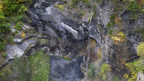 Waterfall-on-the-slope-of-rocky-mountain-in-Alps-and-herd-of-sheep-grazing-in-green-meadow